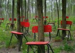 stoelen in bos